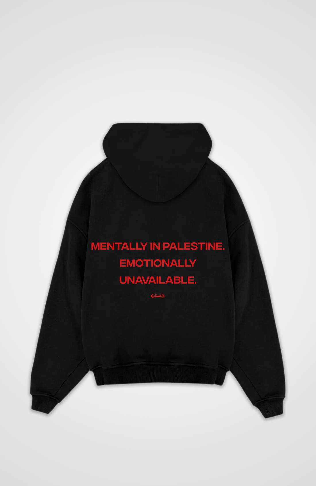 MENTALLY IN PALESTINE Hoodie
