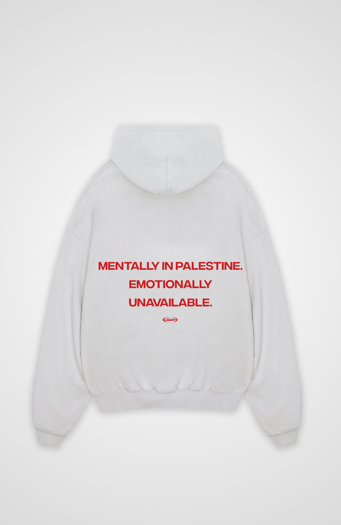 MENTALLY IN PALESTINE Hoodie