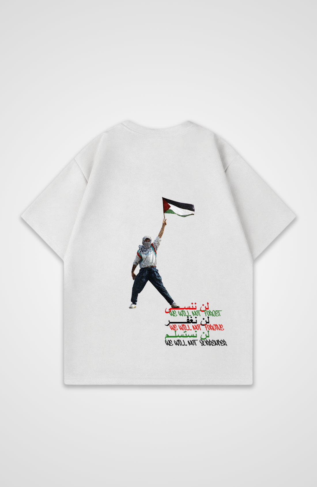 WE WILL NOT TSHIRT
