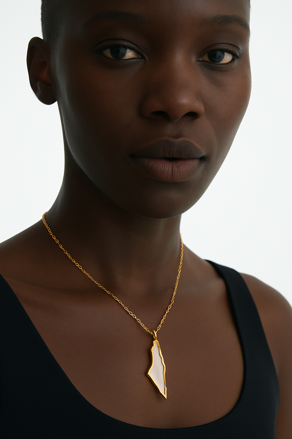 Palestine map necklace