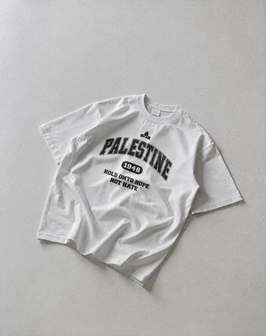 PALESTINE 1948 COLLEGIATE OVERSIZED SHIRT